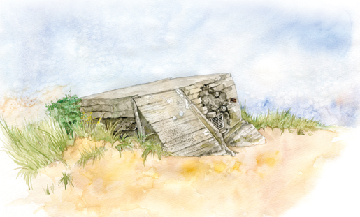 Les herbes agitées par le vent et les sables du temps entourent un bunker délabré de la plage Juno. [ILLUSTRATION : JENNIFER MORSE]