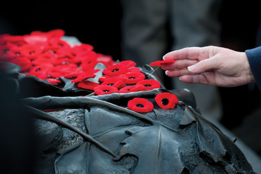 Un coquelicot est déposé sur la Tombe du Soldat inconnu après la cérémonie nationale du jour du Souvenir. [photo : metropolis studio]