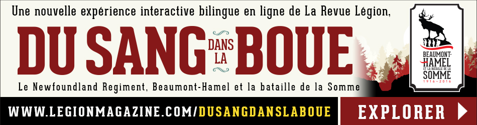 Web Banner Ad BH-French